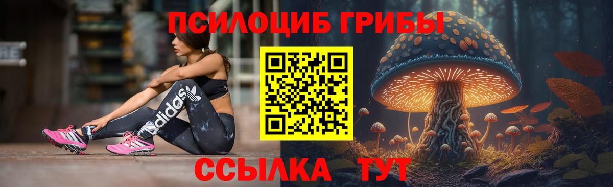 Карталы  Псилоцибиновые грибы Magic Shrooms  Вход с VPN 